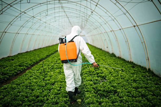 Best Pest Control Near Me  in Saylorville, IA