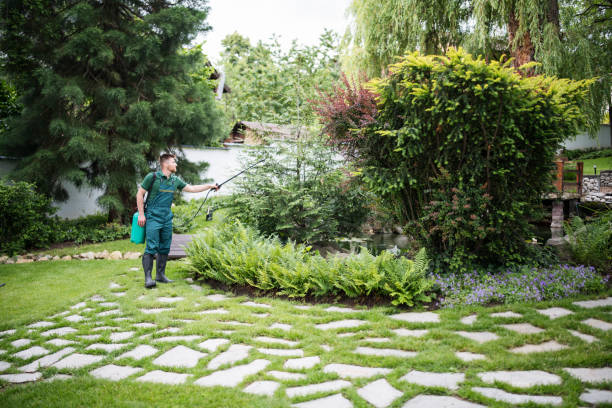 Best Exterminator Services  in Saylorville, IA