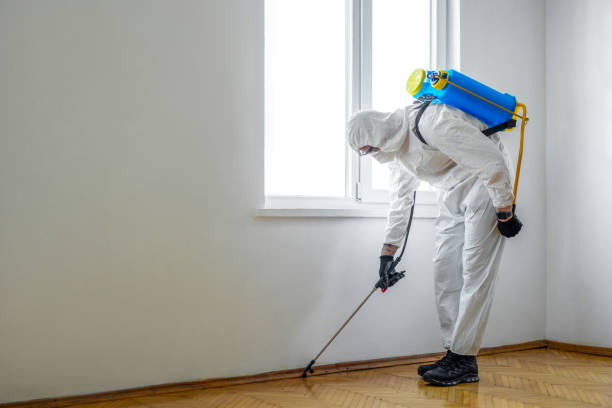 Best Best Pest Control Companies  in Saylorville, IA