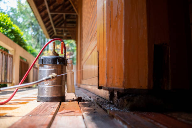 Best Wasp Removal Services  in Saylorville, IA